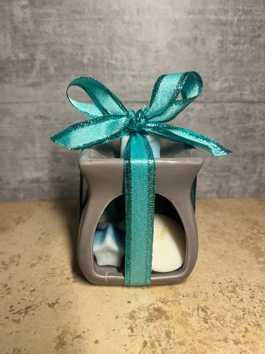 soy wax melt holiday gift set